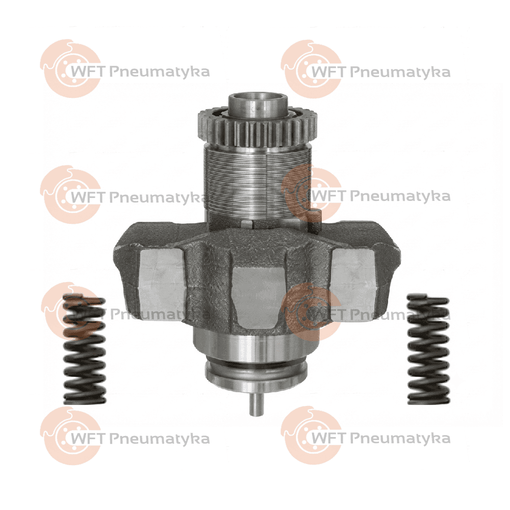 MECHANIZM SAMOREGULACJI